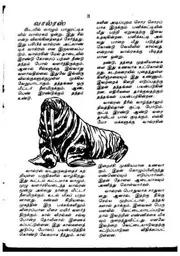 எத்தனுக்கு எத்தன்